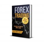 Forex Trading The Basics – Explained in Simple Terms (free download ebook)
