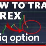 How to Trade on FX Option – Trade Forex With IQ Option